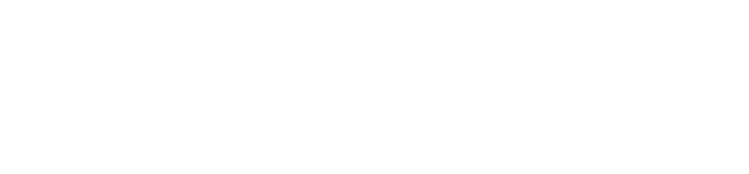 https://polkadot.com/