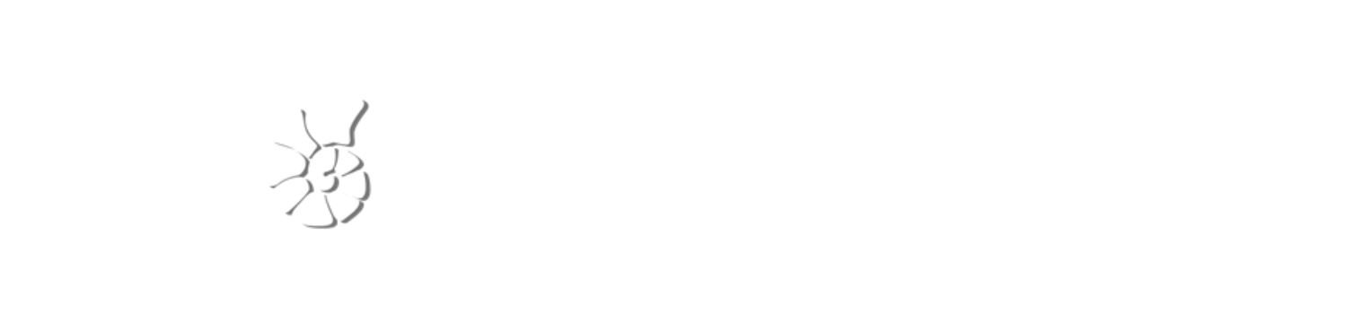 https://www.coralapp.network/