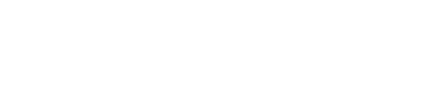 https://mavx.com/en