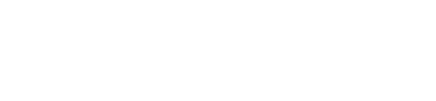 https://minaprotocol.com/